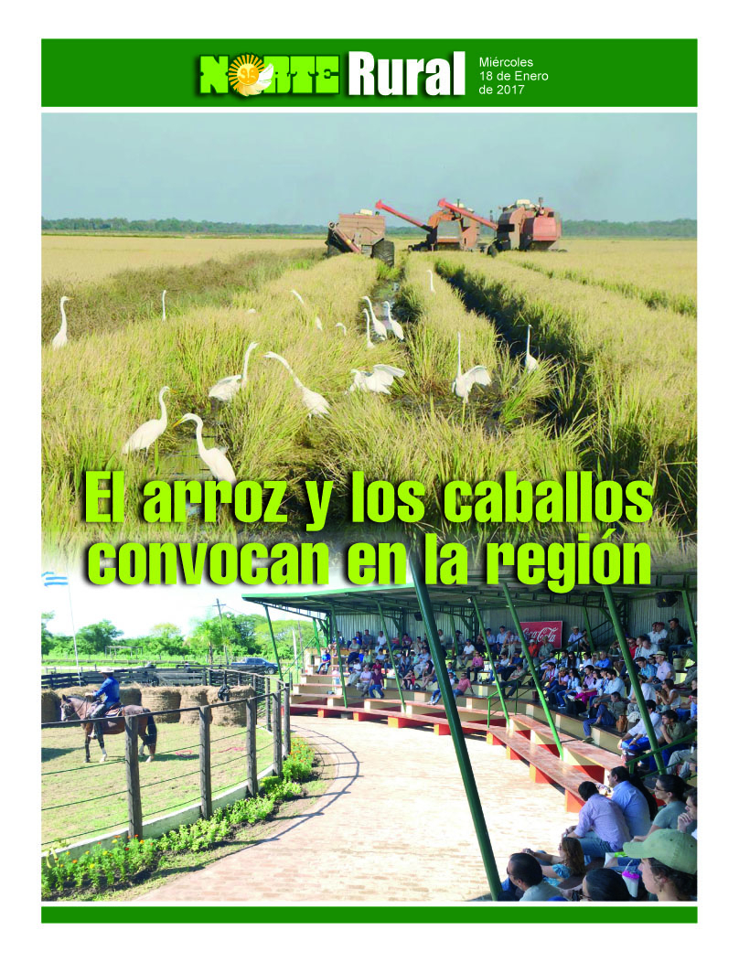 El arroz y los caballos convocan en la región