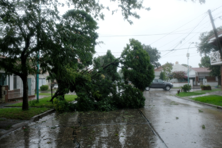 05-02-2017_mar_del_plata_temporal_de (2).jpg