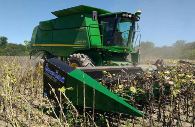 Girasol: una gran campaña frustrada por el clima
