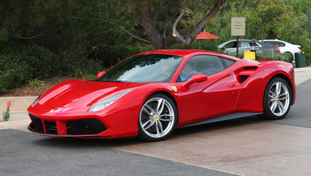 488.jpg