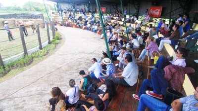 Segundo congreso equino, un encuentro para aprender de los mejores en un solo evento