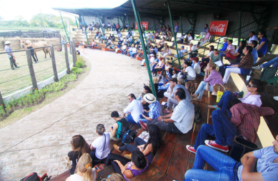 Segundo congreso equino, un encuentro para aprender de los mejores en un solo evento