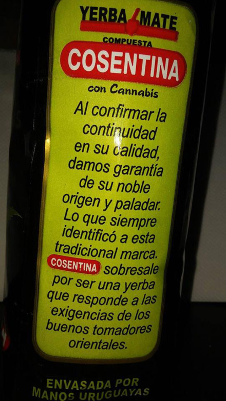 yerba_4.jpg