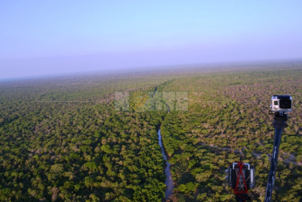 fidelidad.jpg
