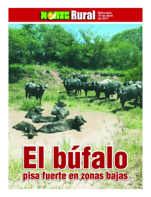El búfalo pisa fuerte en zonas bajas