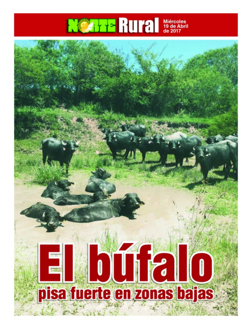 El búfalo pisa fuerte en zonas bajas