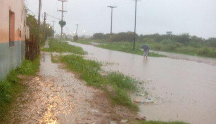 barrios3.jpg