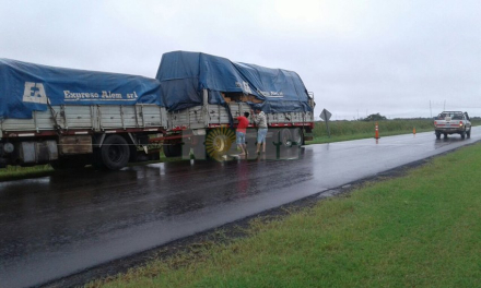 camion4.jpg