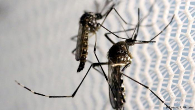 40 casos de zika confirmados en Chaco y nuevos casos probables de dengue