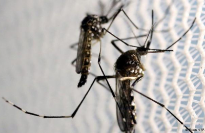 El nuevo año se inauguró con dos casos probables de dengue en la provincia