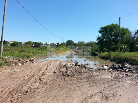 basural3.jpg