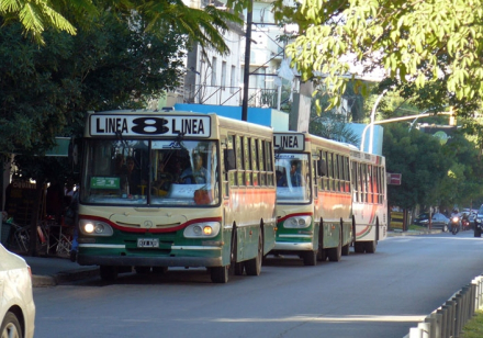 PARO12.jpg copy