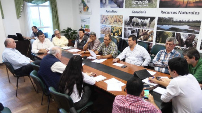 Se prorrogó por 30 días la vacunación contra la fiebre aftosa y brucelosis