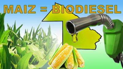 Con 200.000 hectáreas de maíz implantadas, ¿el Chaco puede pensar en fabricar biodiesel?