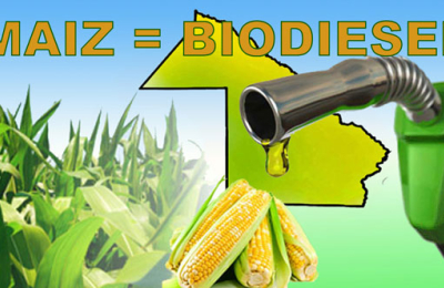 Con 200.000 hectáreas de maíz implantadas, ¿el Chaco puede pensar en fabricar biodiesel?