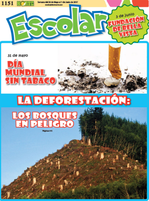 Deforestación: los bosques en peligro