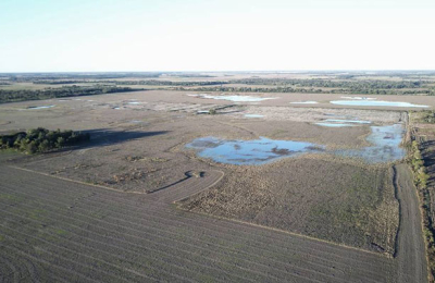 El clima pone en riesgo lo que resta cosechar de soja en el Chaco