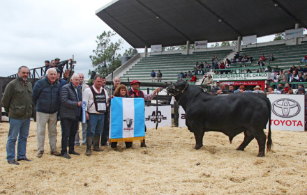 NACION-GANADERA17.jpg
