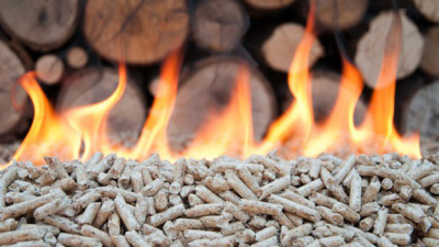 Técnicos forestales organizan la primera jornada nacional sobre energía renovable