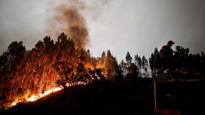 Inmenso incendio forestal deja más de 60 muertos en Portugal