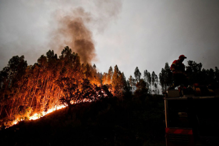 Portugal incendio 3.jpg