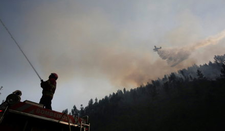 Portugal incendio-muertos.jpg