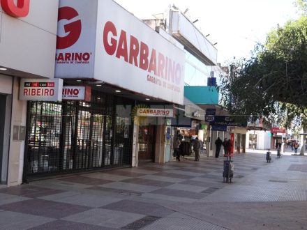peatonal2.jpg