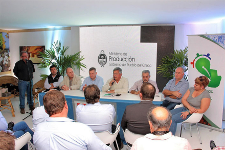 10-PRODUCCION-EN-AGRONEA.jpg