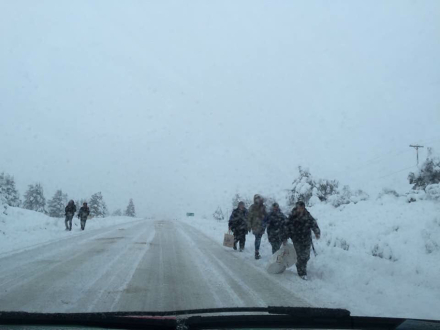 Nieve sur 4.jpg