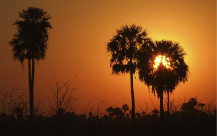 parque-nacional-chaco.jpg
