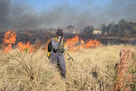 incendio.jpg
