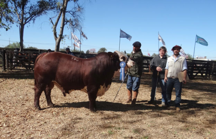 RURAL8.jpg
