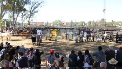 El campo pidió una urgente reforma impositiva y laboral, con fuertes críticas al Poder Judicial