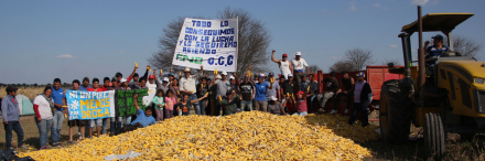 0. COSECHA 1.JPG