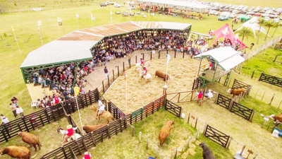 Unos 100 toros y 160 hembras de excelencia salen a la venta en Caá Cupé