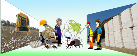 Dibujo Rural.jpg