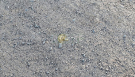 muerto4.jpg