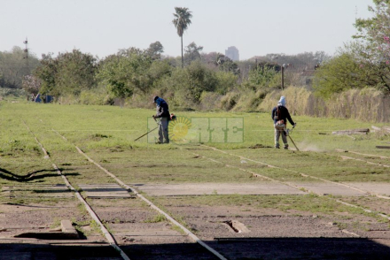 tren9.jpg