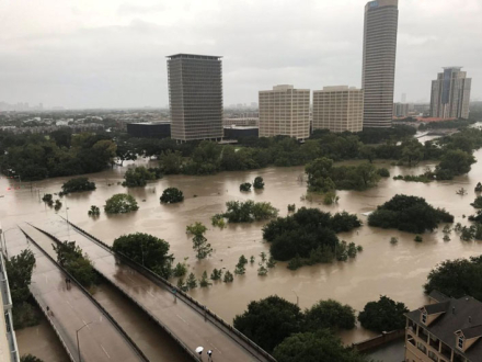 harvey4.jpg
