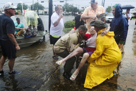 harvey91.jpg