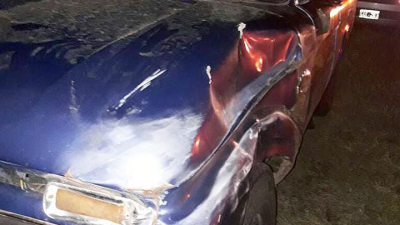 Caballo suelto provocó accidente en la ruta provincial 4 y dejó un herido