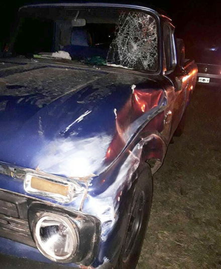 accidente con caballo.jpg