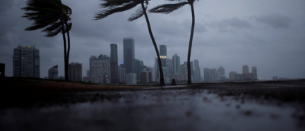 irma.jpg