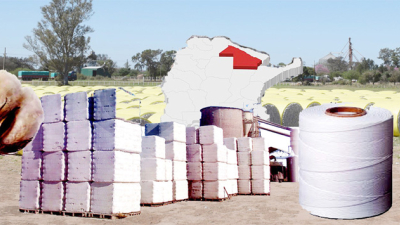 Algodón: nuevas instancias