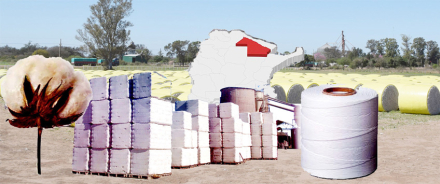 Dibujo Rural.jpg