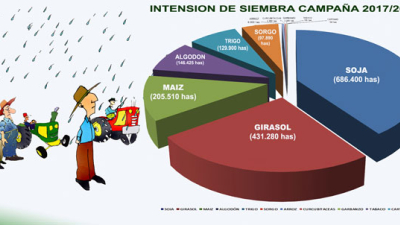 El Chaco agrario refuerza su intención de siembra y llegaría a 1.700.000