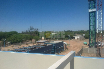planta.jpg