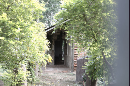vivienda3.jpg