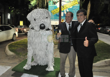 perro.jpg