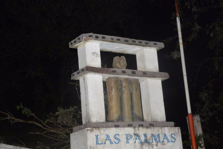 palmas2.jpg